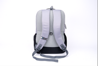 Tera Laptop Backpack – 27L (Grey & Black)